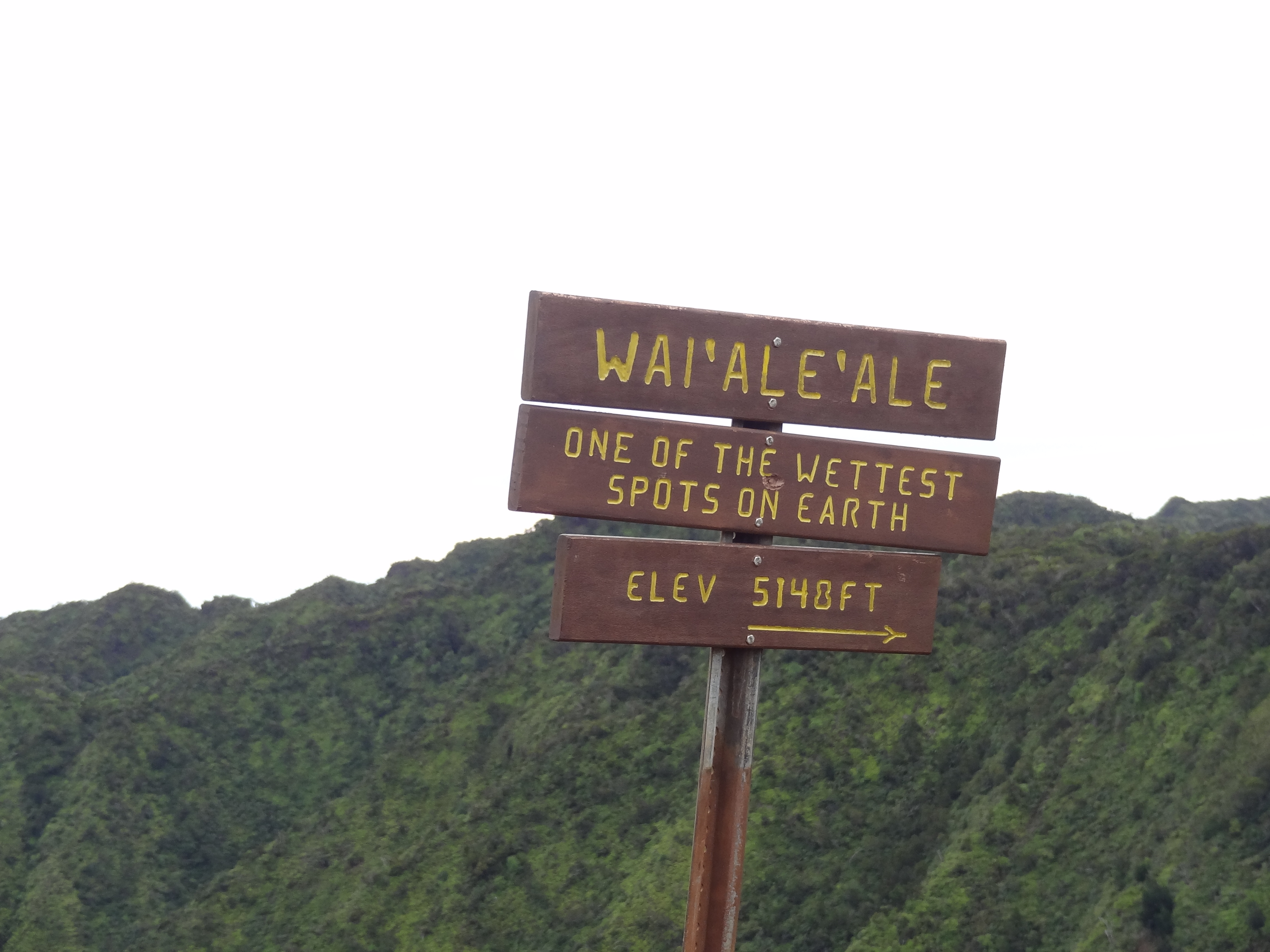 Technically, "One of the Wettest Spots on Earth"