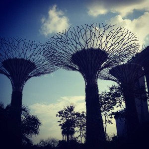 600613_10152171083438066_1305318_n