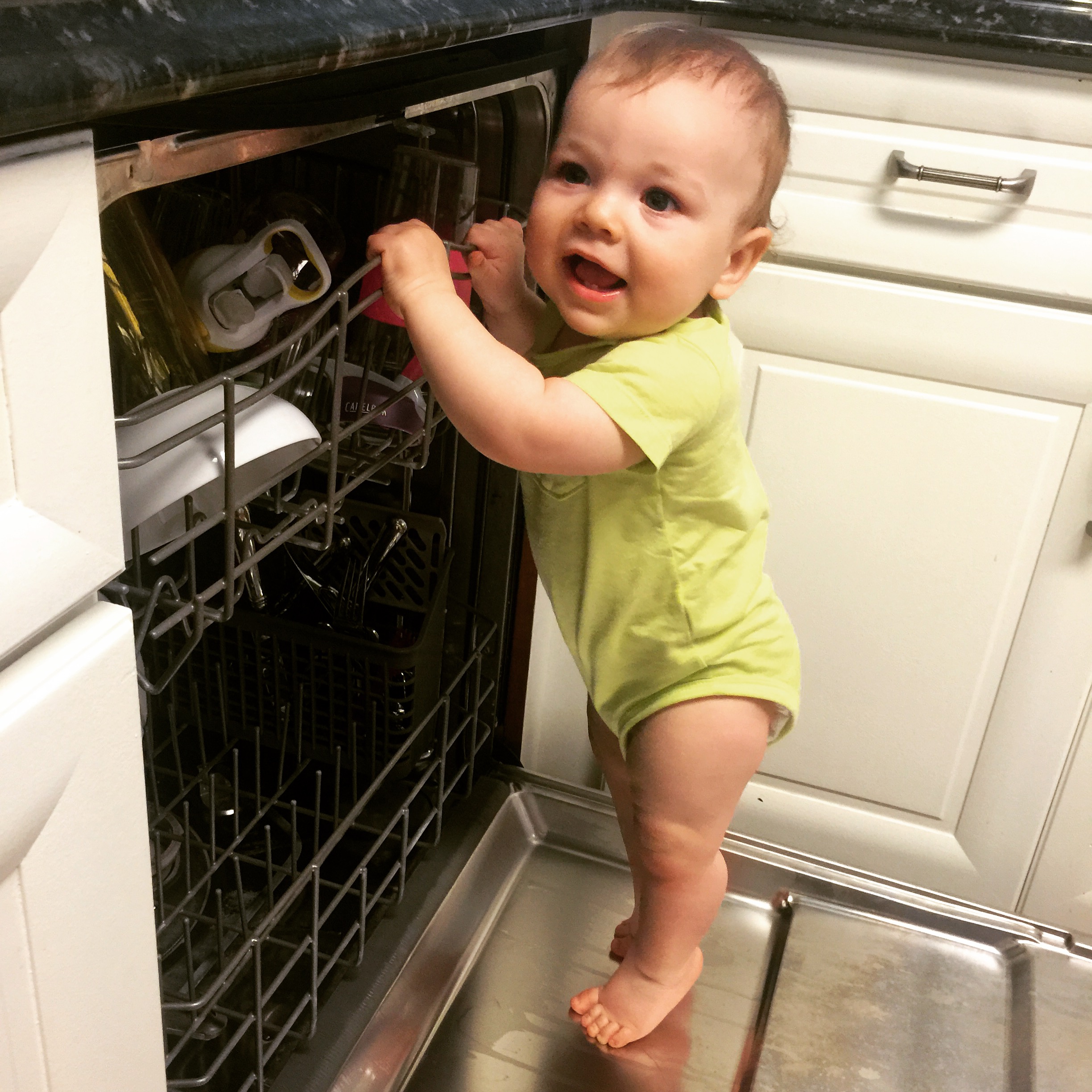 Seek and Destroy: Everything My Toddler Son Would Rather Do Than Read