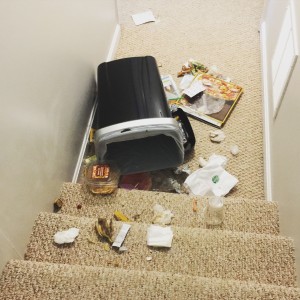 This was grosser than it appears. 