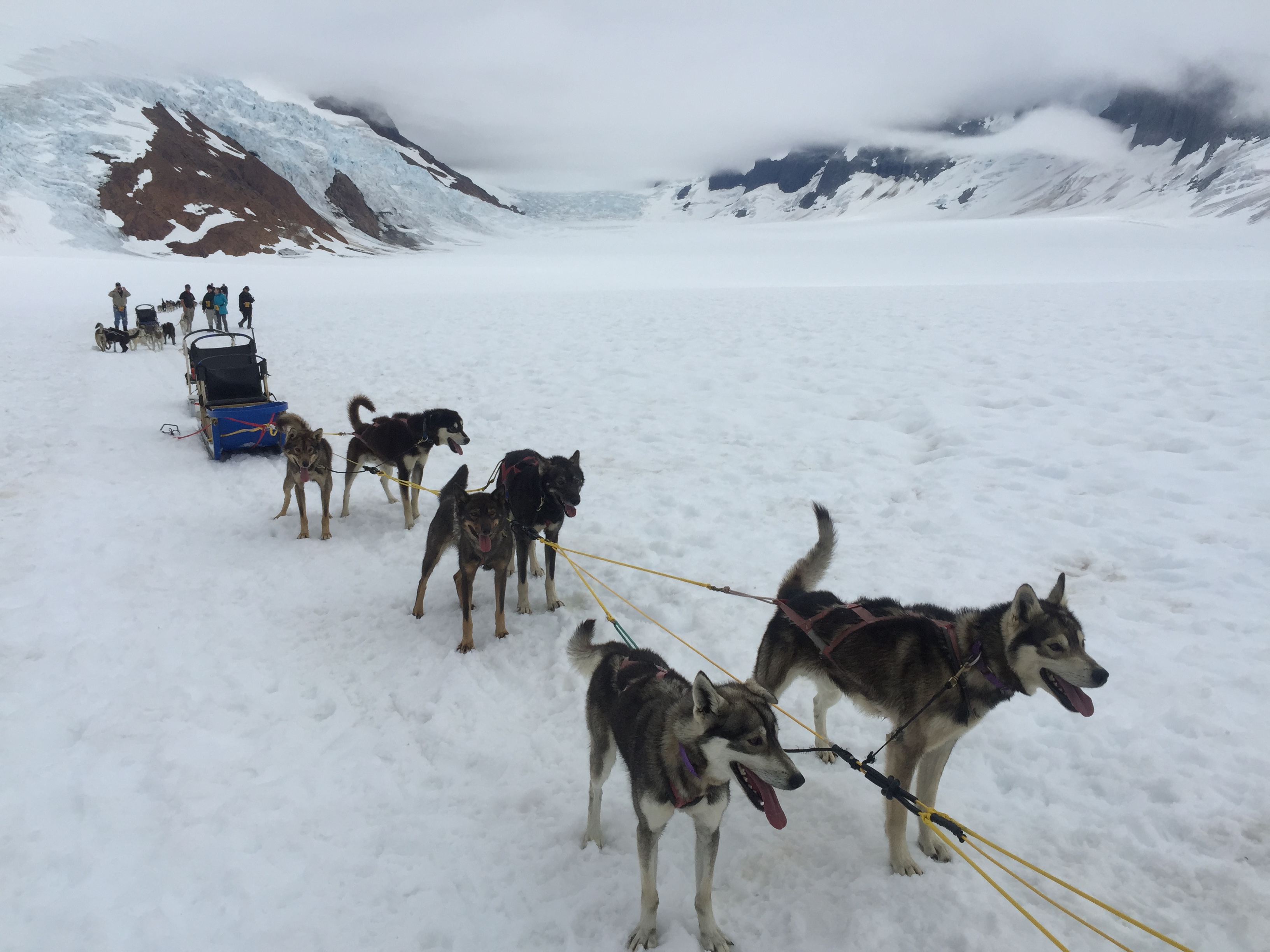 The Day I Went Dog Sledding