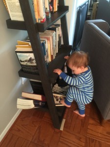 Not dangerous at all. 