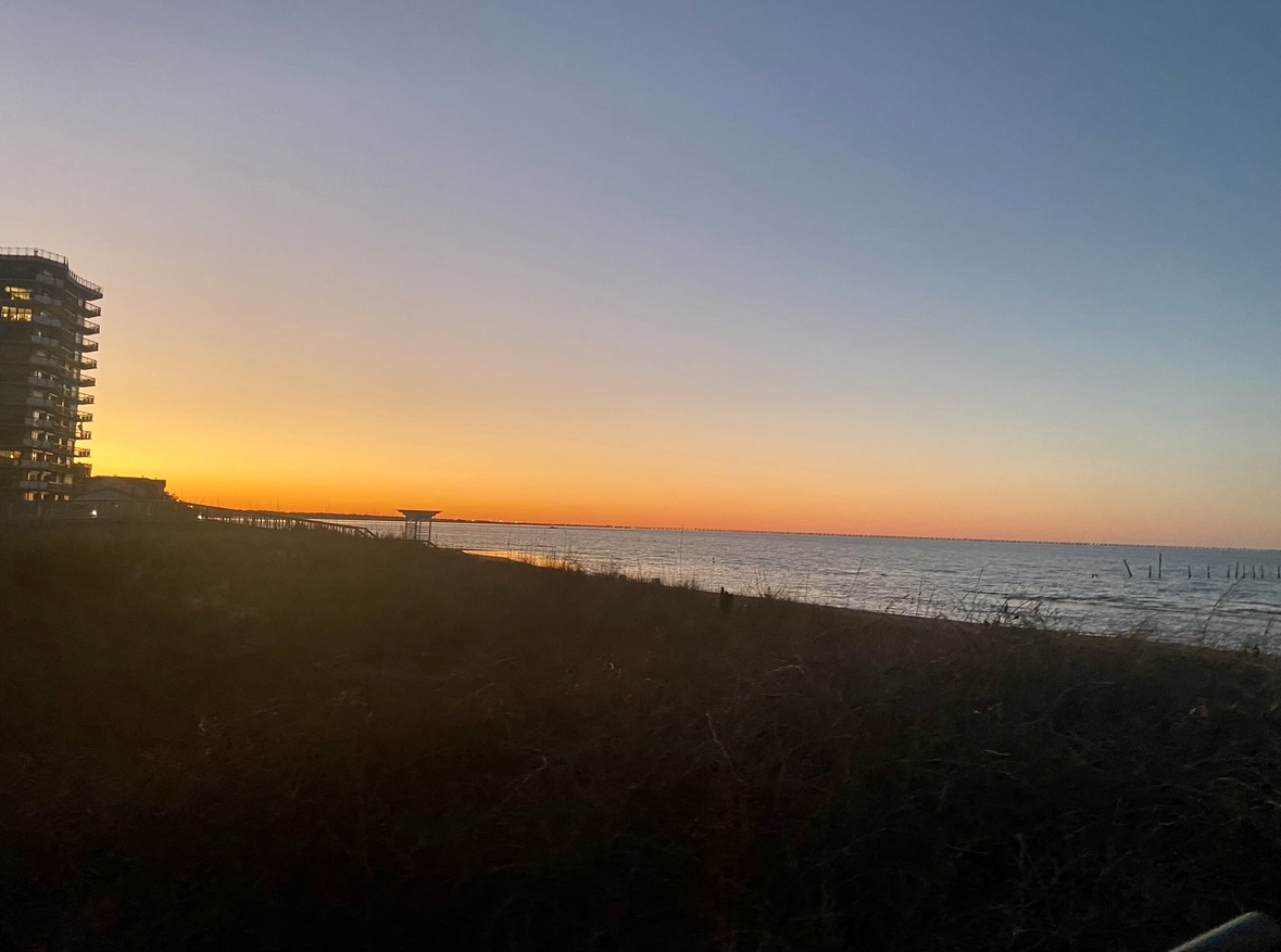 EA0ED3C8-0B23-403F-900F-9D361DEA96C0_1_201_a